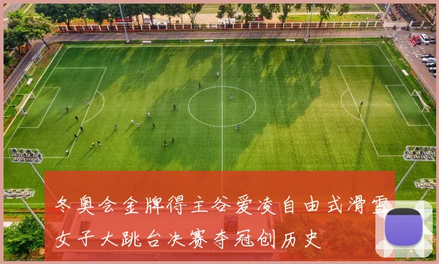 冬奥会金牌得主谷爱凌自由式滑雪女子大跳台决赛夺冠创历史