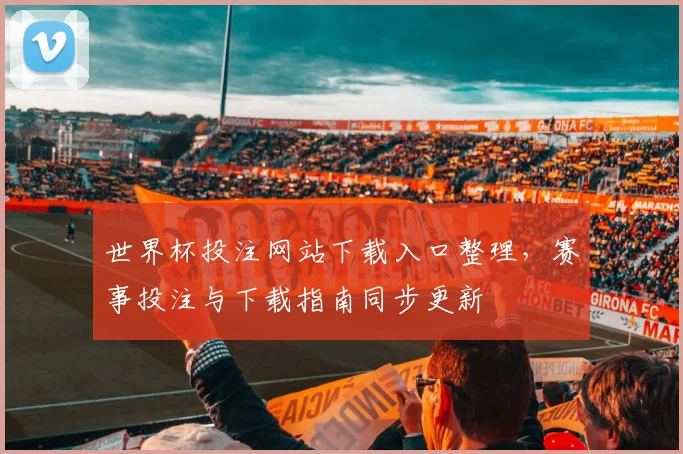 世界杯投注网站下载入口整理，赛事投注与下载指南同步更新