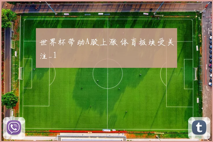 世界杯带动A股上涨 体育板块受关注_1